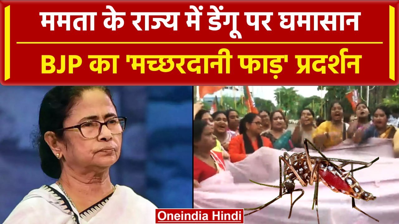 Mamata Banerjee के West Bengal में Dengue Fever पर घमासान, BJP का जोरदार प्रर्दशन | वनइंडिया हिंदी