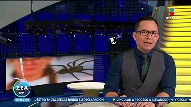 Veneno de araña puede ser clave para el tratamiento de la disfunción eréctil