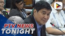 Senators grill DBM on budget cuts for DOE; NEA eyes to complete electrification program by 2027