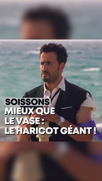 L’incroyable histoire de l’haricot géant de Soissons