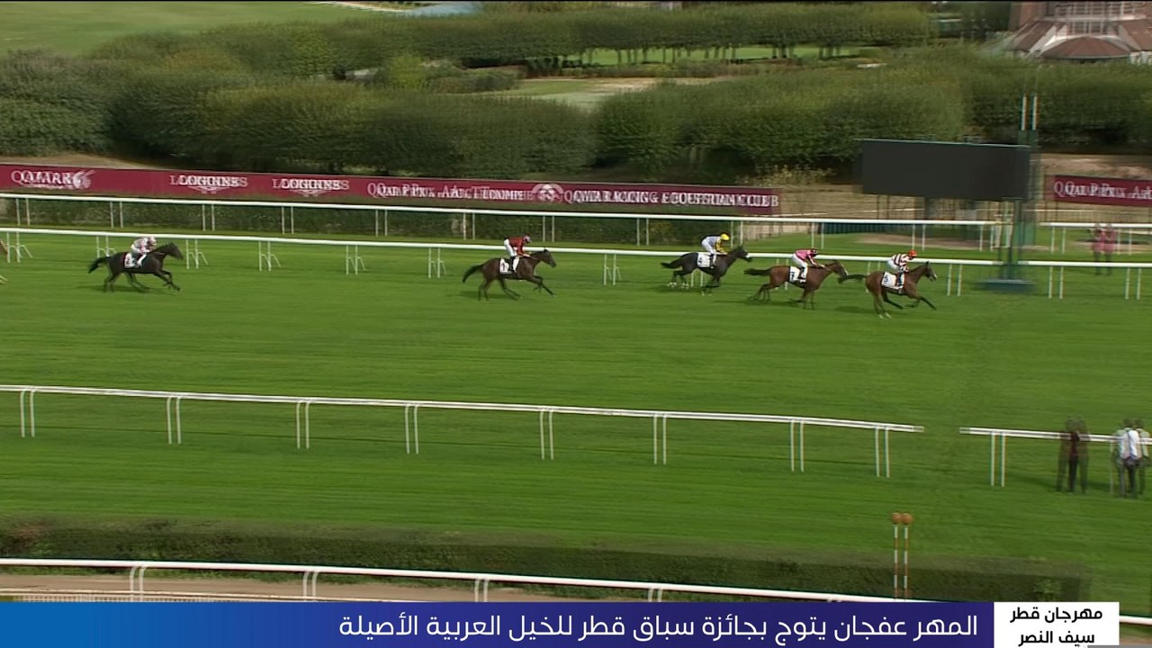 AR 29 HORSE OOV