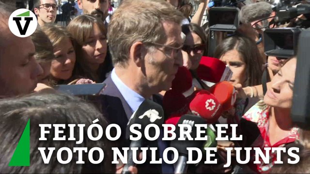 Feijóo, acerca del voto nulo de Junts: Es curioso que al diputado no se le pida opinión