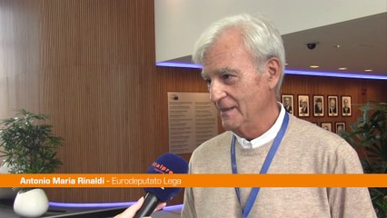 Bce, Rinaldi "Grave errore alzare ancora i tassi"