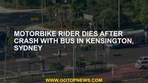 Motorbike rider dies after crash with bus in Kensington, Sydney