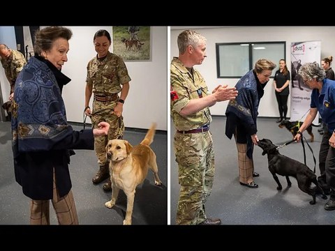 Princess Anne pets adorable training bomb dogs during animal training centre visit