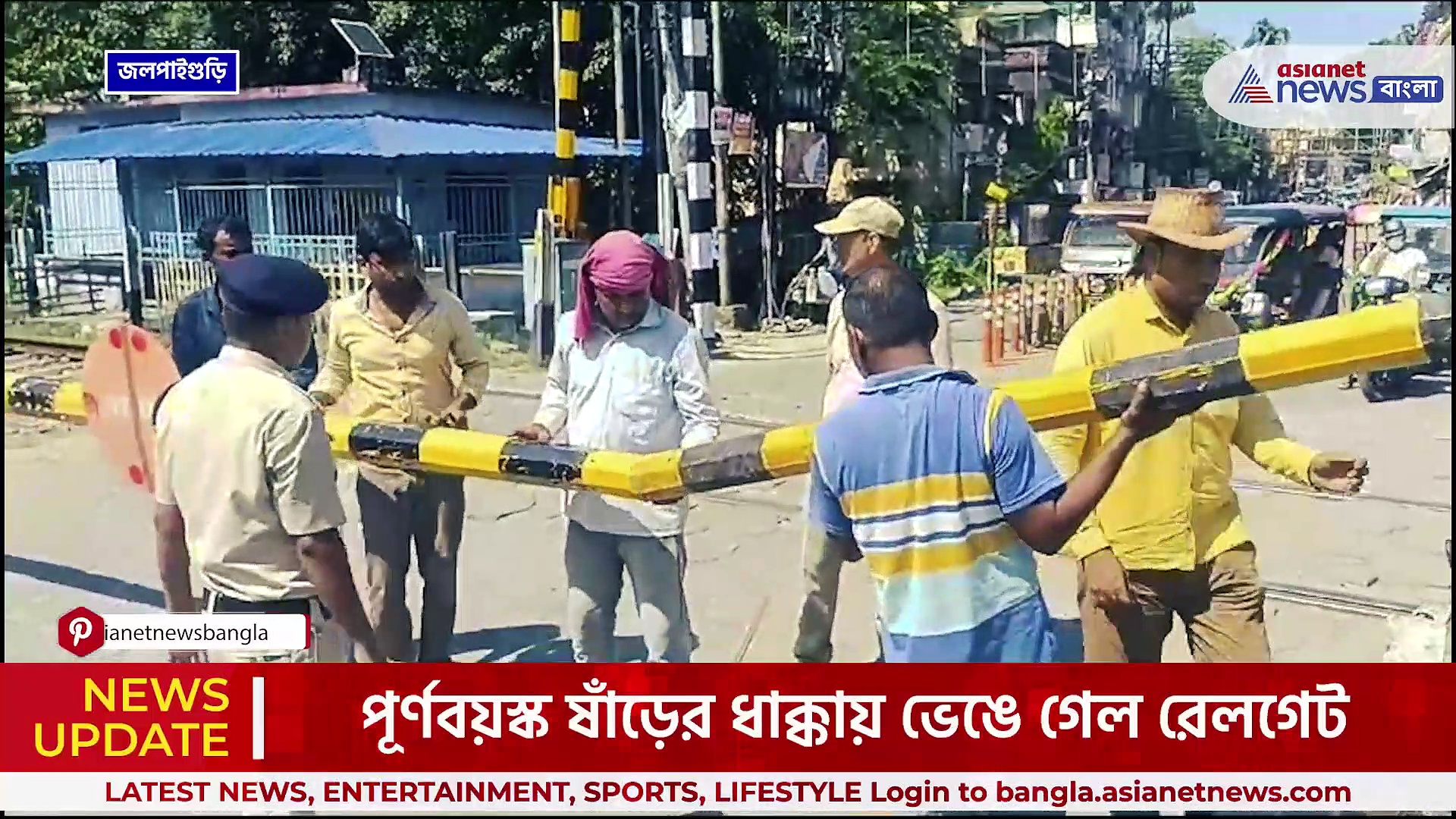 Jalpaiguri : গরুর প্রেমে মত্ত ষাঁড়, প্রেমে বাধা পেয়ে ভাঙল রেলগেট!