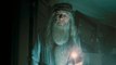 ‘Harry Potter’ Cast Remember Michael Gambon: Daniel Radcliffe, J.K. Rowling & More | THR News Video