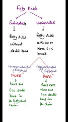 Types of Fatty Acids 🥑