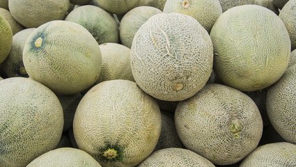 Cantaloupe Was Just Recalled Nationwide Due to Potential Salmonella Risk