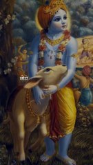 choto choto so Krish khaniya ✨✨