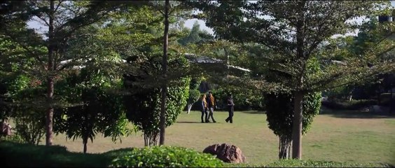 'Behind the Trees'- Tráiler oficial