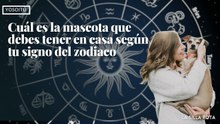 Cuál es la mascota que debes tener en casa según tu signo del zodiaco