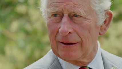 Dr Shola launches furious rant as she blast King Charles' record