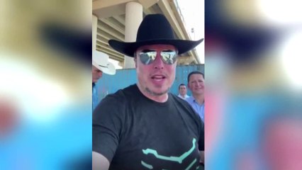 إيلون ماسك يحذر من انهيار نيويورك.. ما السبب؟