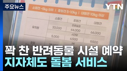 긴 연휴에 반려동물 시설 예약 꽉 찼다...지자체도 돌봄 서비스 / YTN