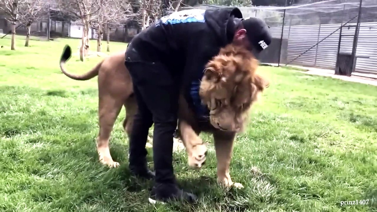 animal funny video60