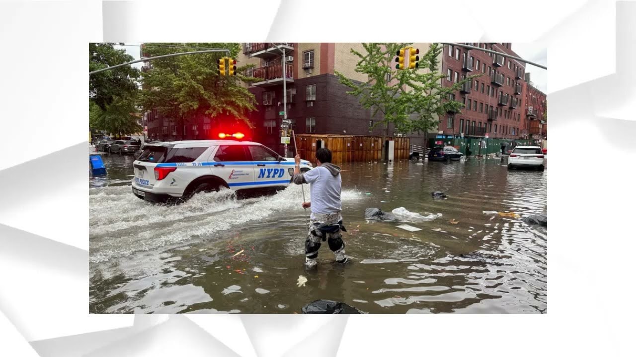 Sea Lion Briefly Escapes Central Park Zoo After Flash Flooding in New York