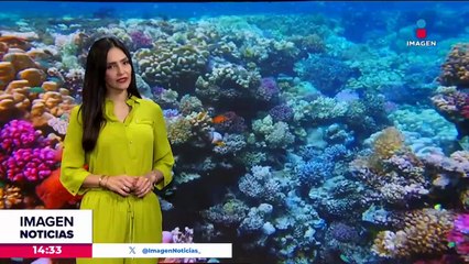 Emergencia climática golpea a los corales de Huatulco