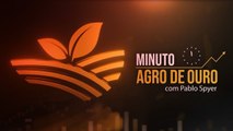 Café em queda, milho em alta, frete caindo e mercado de drones do agro | Minuto Agro de Ouro - 30/09