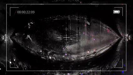 LOS CERDOS (Relatos De Terror)