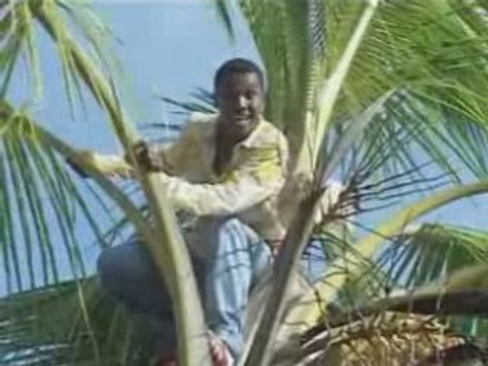 alako mavandy
