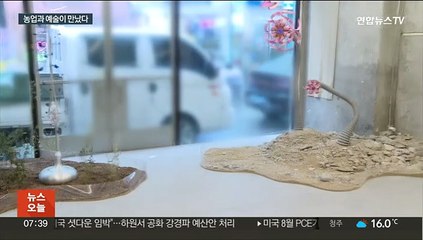 스마트팜과 설치미술의 만남…명동 빈 건물 채웠다