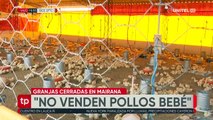 Mairana: Granjas cierran y el kilo de pollo en mercados de ese municipio sube