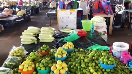 Seguirá laborando de manera normal comité interino de la Plazoleta Campesina