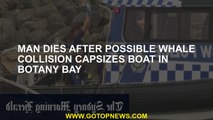 Man dies after possible whale collision capsizes boat in Botany Bay