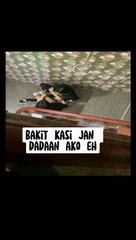 Hidu lagi ribet2 nya malah ketemu ini