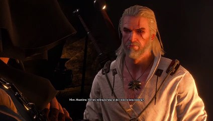 The Witcher 3 : Wild Hunt | In Ciri's footsteps : Novigrad part 14