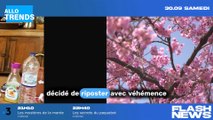 La réponse cinglante d'Anouchka Delon face aux accusations explosives de Hiromi : l'affaire prend un nouveau tournant.