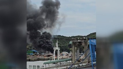 충남 보령 대천항에서 불...어선 한 척 전소 / YTN