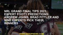 NRL Grand Final Tips 2023, expert footy predictions: Andrew Johns, Brad Fittler and Nine experts pic