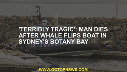 'Terribly tragic': Man dies after whale flips boat in Sydney's Botany Bay