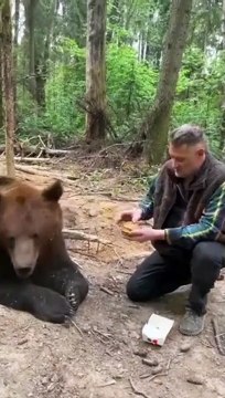 Bear and Man Interesting Unusual Friendships