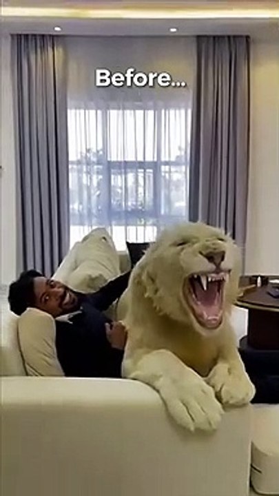 not-again-p-s-we-miss-baby-nico-puppy-dog-funny-neffatibrothers