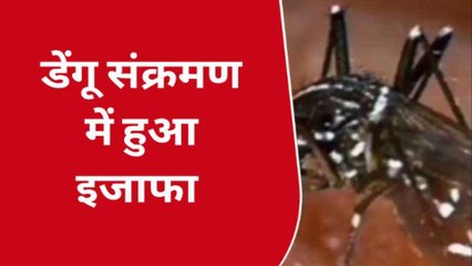 कानपुर: डेंगू संक्रमण के मरीजों में हुआ इजाफा, शहरी और ग्रामीण क्षेत्र में मिले संक्रमित