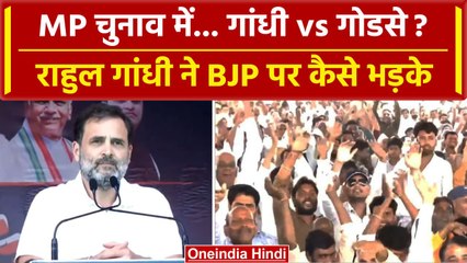 Video herunterladen: Rahul Gandhi, Congress की Jan Akrosh Rally में PM Modi और BJP पर कैसे बरसे ? | MP | वनइंडिया हिंदी