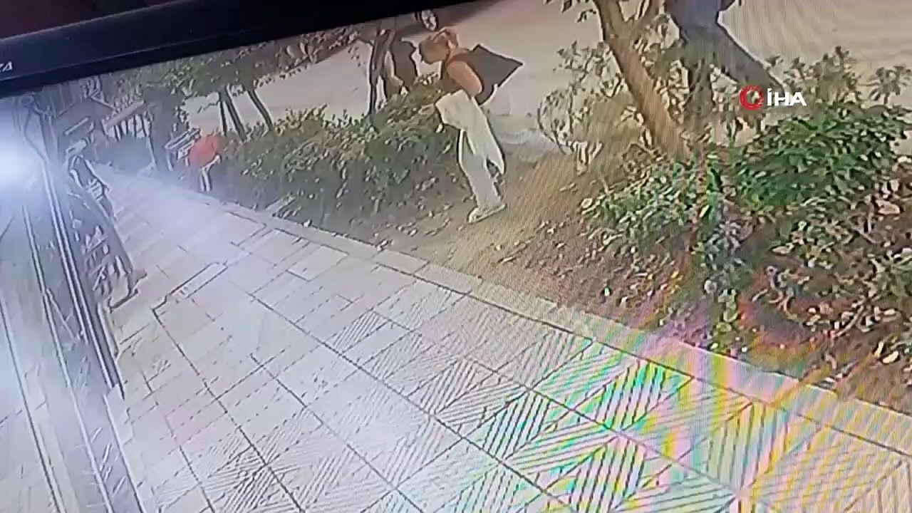 Attaque d'un chien Pitbull à Manisa