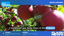 Les secrets inexplorés de Zelda Tears of the Kingdom: 10 énigmes à résoudre dans ce jeu vidéo !