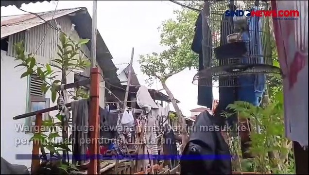 Meresahkan! Monyet Liar Ekor Panjang Masuk ke Permukiman Warga di Medan