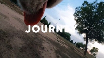 Ejemplo de video editado automaticamente con Insta360 Go 3