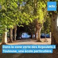 Avoir un chien guide à Toulouse