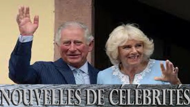 Charles III : pourquoi il pourrait faire un grand reset avec son fils, le prince Harry