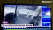 Aksi Pencurian Sepeda Angin di Mojokerto Viral di Medsos, Pelakunya Tiga Orang Bocah