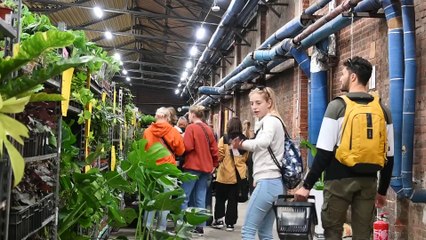 20230930_anetakolesinska_targi roślin