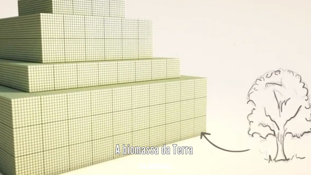 A biomassa da Terra