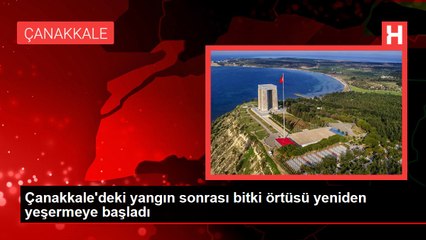Çanakkale'deki yangın sonrası bitki örtüsü yeniden yeşermeye başladı