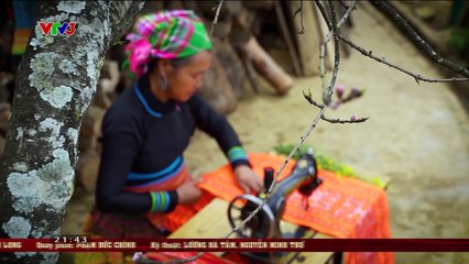 Không ngại cưới, chỉ cần một lý do Tập 5